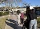 Lycée Ismael Dauphin - Cavaillon Résidence Les Sereins Cheval-Blanc